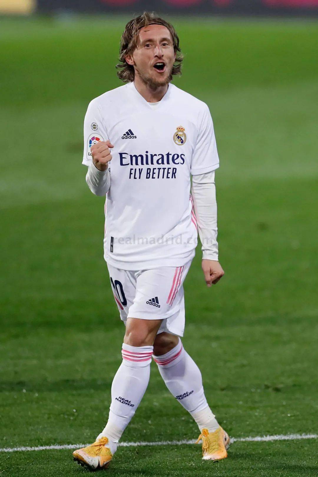 动员的关注 动员的关注