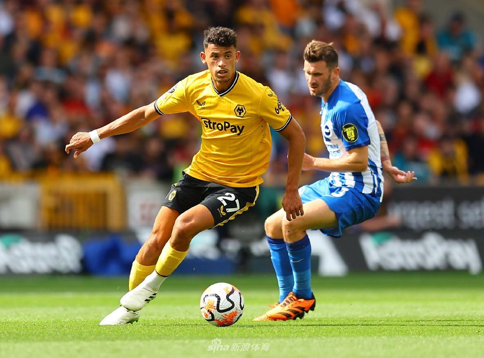 总比分2 总比分2